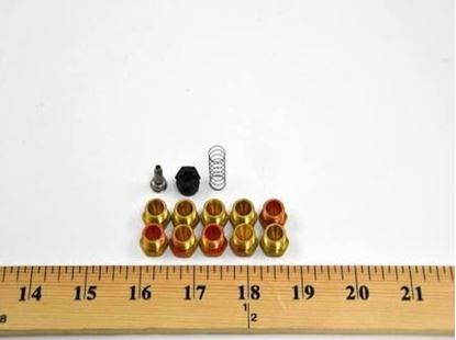 Picture of NAT TO LP CONVERSION KIT For Sterling HVAC Part# 11261R06045