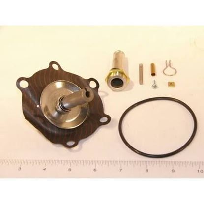 Picture of REBUILD KIT For ASCO Part# 304-448