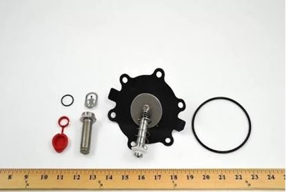 Picture of ASCO REPAIR LIT For ASCO Part# 302-352-VM