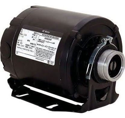 Picture of 1/4HP 115V 1725RPM 48Y Rev Mtr For Century Motors Part# CB2024AV1
