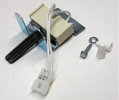 Picture of IGNITOR KIT  For Robertshaw Part# 41-311
