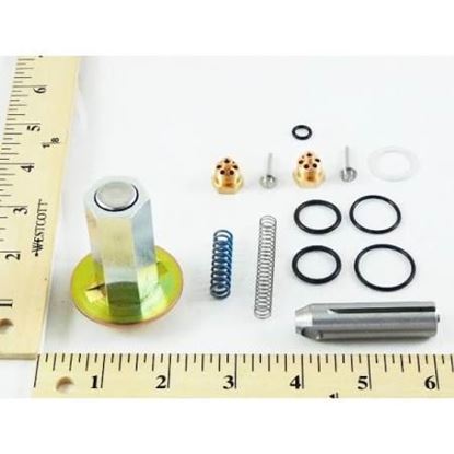 Picture of REBUILD KIT For ASCO Part# 306-779-G