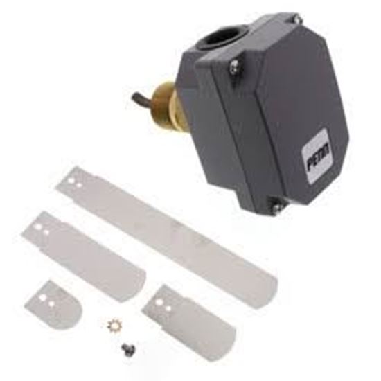Picture of FlowSwitch 1" Nema 4 For Johnson Controls Part# F261MAH-V01C