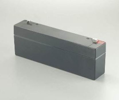 Picture of SPARE BATTERY FOR H10P For Johnson Controls Part# RLD-H10-604R