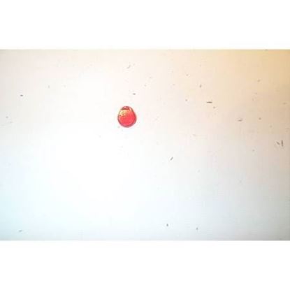 Picture of Red Hat Clips Qty 10 For ASCO Part# 258-850