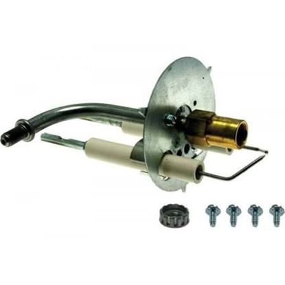 Picture of Electrode Kit For Rheem-Ruud Part# 59-25009-02