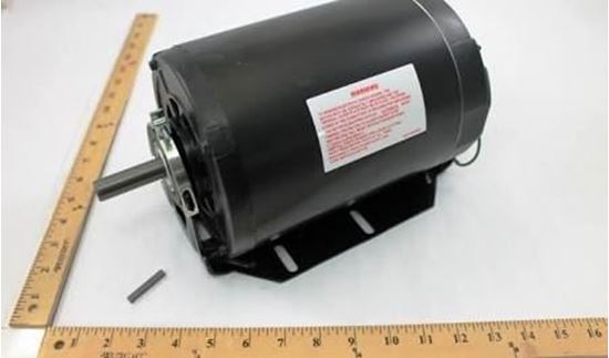 Picture of 1HP 115/230V 1725RPM 56 Motor For Century Motors Part# GK2104DV1