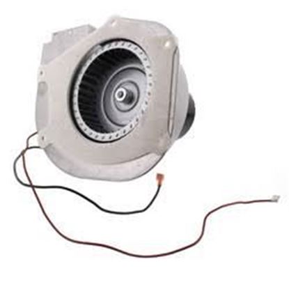 Picture of Ind Mtr Assy 1/20hp 208-230v For Armstrong Furnace Part# R46930-001