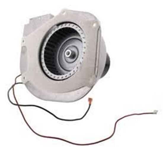 Picture of Ind Mtr Assy 1/20hp 208-230v For Armstrong Furnace Part# R46930-001