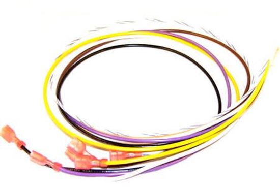 Picture of 7pin harness, remote sense For Fenwal Part# 05-129893-124