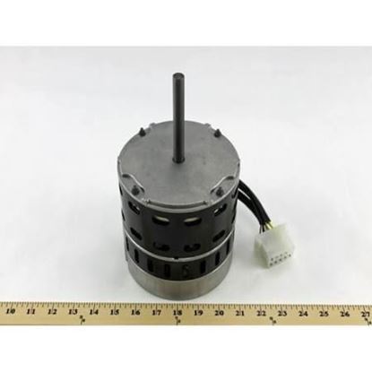 M0081904R NORDYNE BLOWER motor | Nordyne M0081904R BLOWER MOTOR 1/2HP | PartsAPS