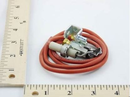Picture of SparkIgnPilotAssyW/Ignitor For Lennox Part# 49K85