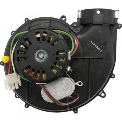 Picture of 120V Induced Draft Blwr W/Gskt For Rheem-Ruud Part# 70-102814-01