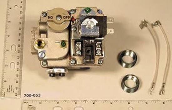Picture of 3/4"2stgNG,IP-HSI-DSI,24V 300k For Robertshaw Part# 700-053