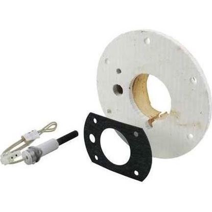 Picture of Ignitor Retrofit Kit For Rheem-Ruud Part# SP12143K