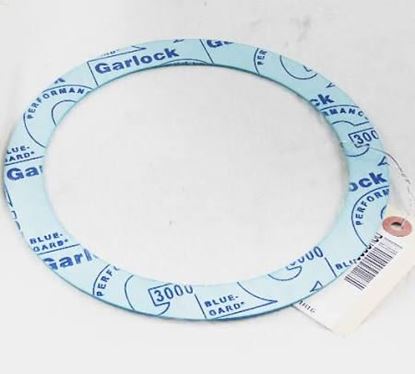 Picture of GASKET FOR TRIPLE DUTY VLV For Xylem-Bell & Gossett Part# V32801