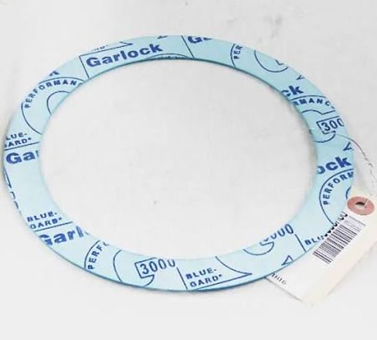 Picture of GASKET FOR TRIPLE DUTY VLV For Xylem-Bell & Gossett Part# V32801