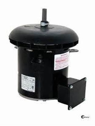 Picture of 1/2HP 200-230/460V 1050RPM Mtr For Century Motors Part# OCA1056