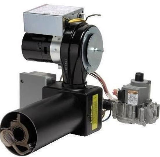 Picture of LP -> Natural Conversion Kit For Wayne Combustion Part# 62956-001
