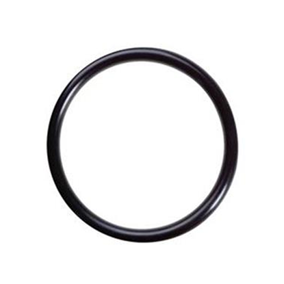 Picture of O RING KIT For Carrier Part# 00PPG000033100A