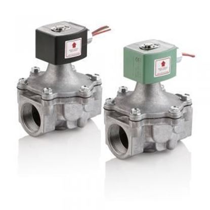 Picture of 1/2" NC LP GAS 0/50# 120V For ASCO Part# 8215G20B