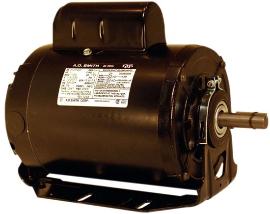 Picture of 115/230V 1/2Hp 1725/1425Rpm Mt for Regal Rexnord - Century Motors Part# RB1054AV1