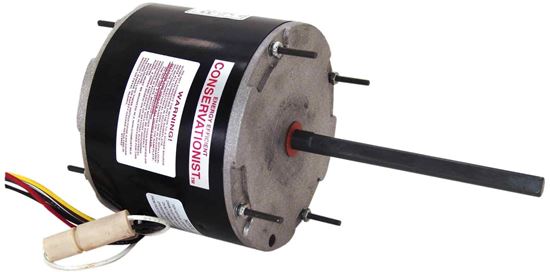 Picture of 1/3Hp230V2Spd1075Rpm Te Motor for Regal Rexnord - Century Motors Part# FE1036