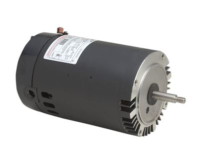 Picture of 1Hp 230/115V 3600Rpm Pump Mtr for Regal Rexnord - Century Motors Part# B228SE