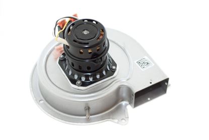 Picture of 115V1Speed 1.22Amp Blowermotor for Regal Rexnord - Fasco Part# A065