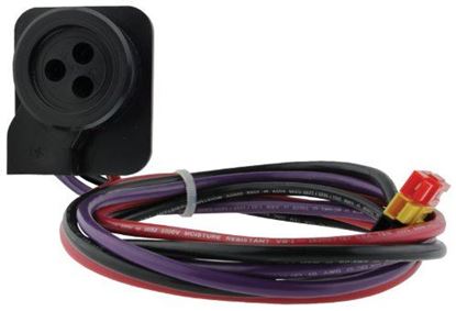 Picture of Wiring Harness For Scroll Comp for Rheem-Ruud Part# 45-100834-08