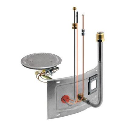 Picture of Burner Assy Kit Rg40S-40 Ng for Rheem-Ruud Part# AM39922-1