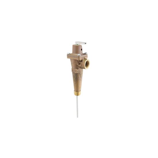 Picture of 3/4" Mxf 200,000Btu T&P;5"Elem for Rheem-Ruud Part# SP9013E