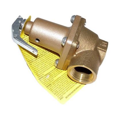 Picture of 125# Pressure Relief Vlv for Raypak Part# 007758F