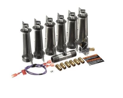 Picture of Conv Kit Ng To Lp W/Ss Burners for York Part# S1-1NP0820