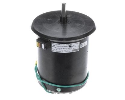 Picture of 230V1Ph 1/3Hp 850Rpm Ccw Motor for York Part# S1-6007531