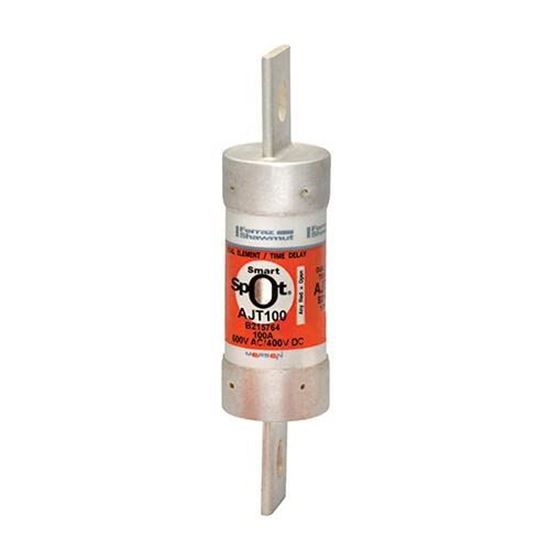 Picture of 100A CLASS J TIME DELAY FUSE for ABB Part# AJT100