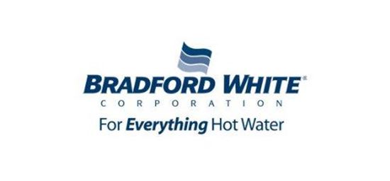 Picture of BLOWER FAN ASSEMBLY for Bradford White Part# 243-46010-01