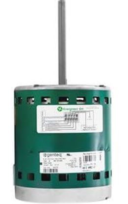 Picture of 3/4HP 208-230V EVERGREEN MOTOR for Regal Rexnord - Genteq Part# 6207X
