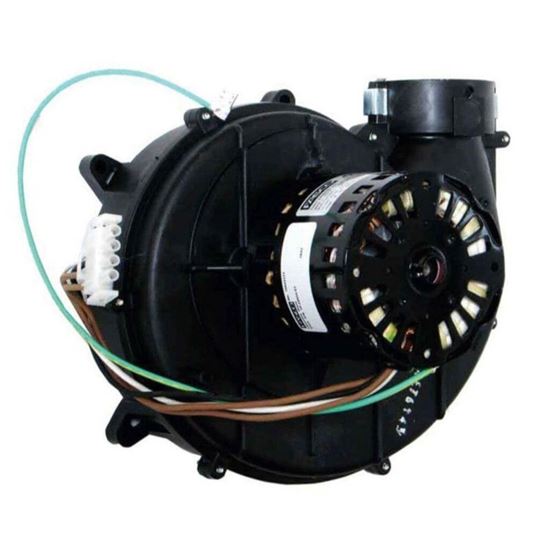 Picture of Rheem Pro Induced Draft Blw Asy Part# 70-24033-01