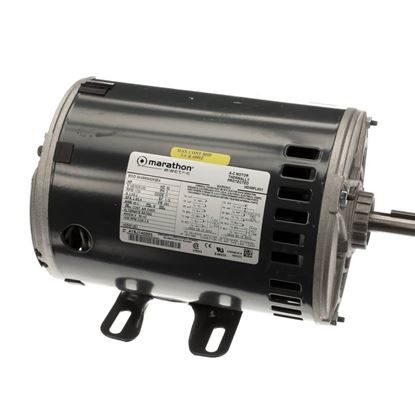 Picture of Carrier Motor Part# CPHD56FL651