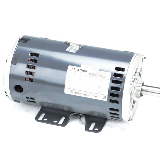 Picture of Carrier Evap Motor Part# HD60FK651