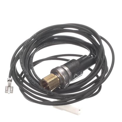 Picture of Carrier Ignitor Part# HK02ZA442