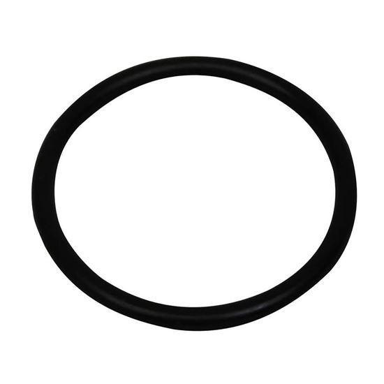 Picture of Carrier O-ring Part# KK71EW223