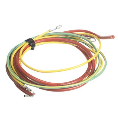 Picture of Carrier Burner Wiring Kit Part# 50DK408486