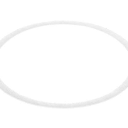 Picture of Carrier Inducer Gasket Part# 327263-401