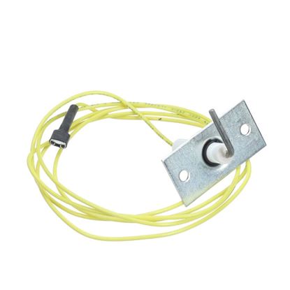 Picture of Carrier Flame Sensor Part# 48DP500613