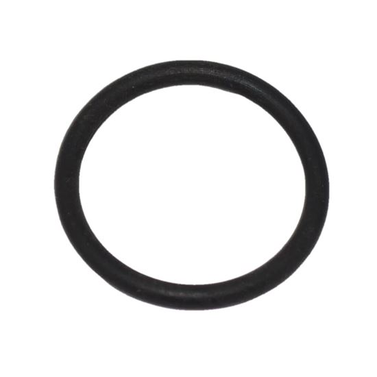 Picture of Carrier O-ring Part# KK71EW016
