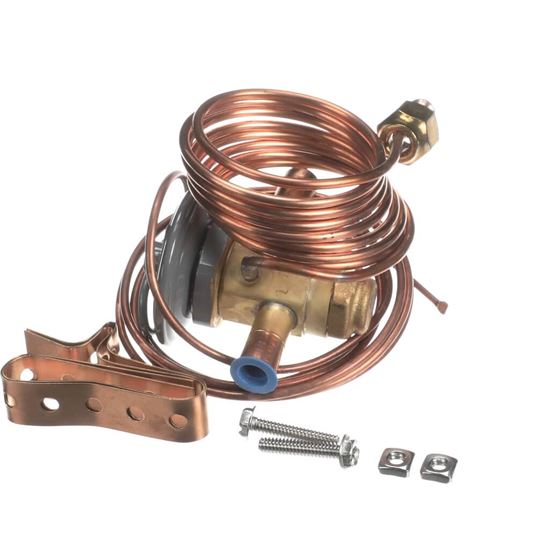 Picture of Carrier Expansion Valve Part# EA36YP020