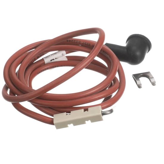 Picture of Carrier Ignition, Electronic Part# LH33EW058