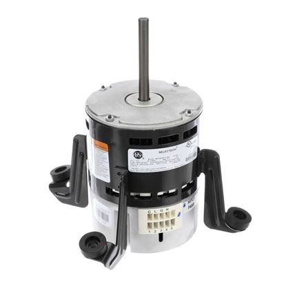Picture of Carrier Motor, Blower Ecm 3/4Hp Part# HD46MM120